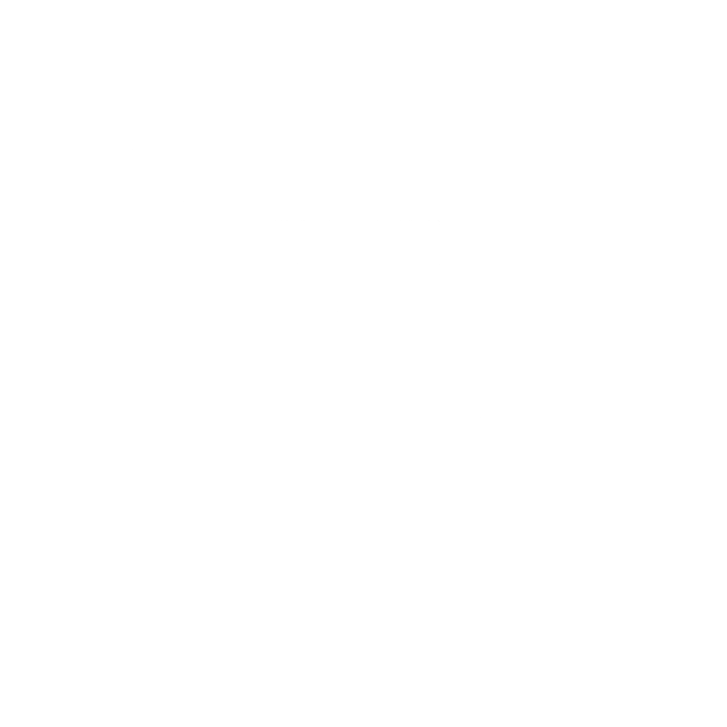 RithiaMC